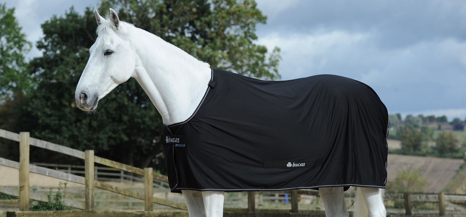 Bucas Power Cooler, Colour: Black, Size: 155cm/6&#39;9