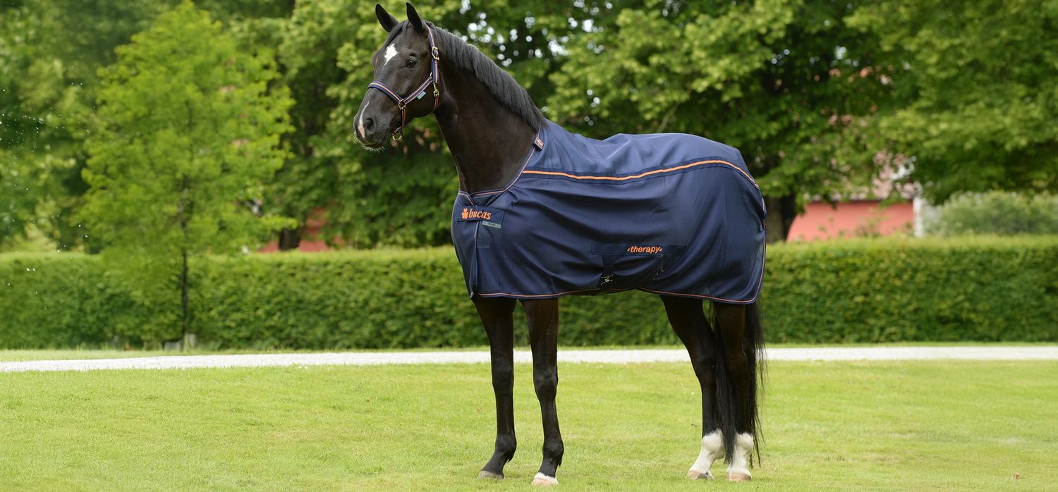 Bucas Therapy Mesh Cooler