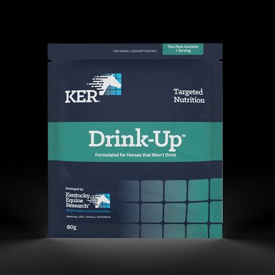 Kentucky Drink-Up 80g Sachet