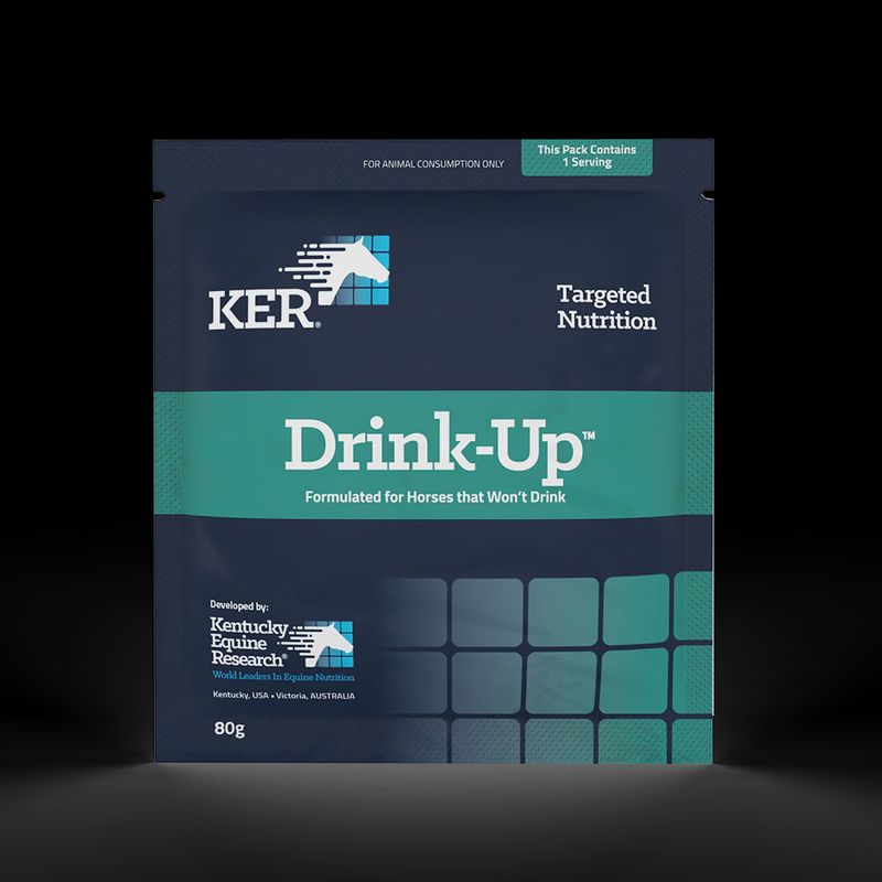 Kentucky Drink-Up 80g Sachet
