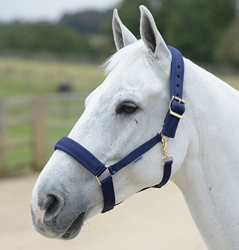 Bucas Comfort Halter