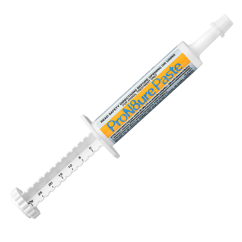 IAH ProN8ure Paste 30gm