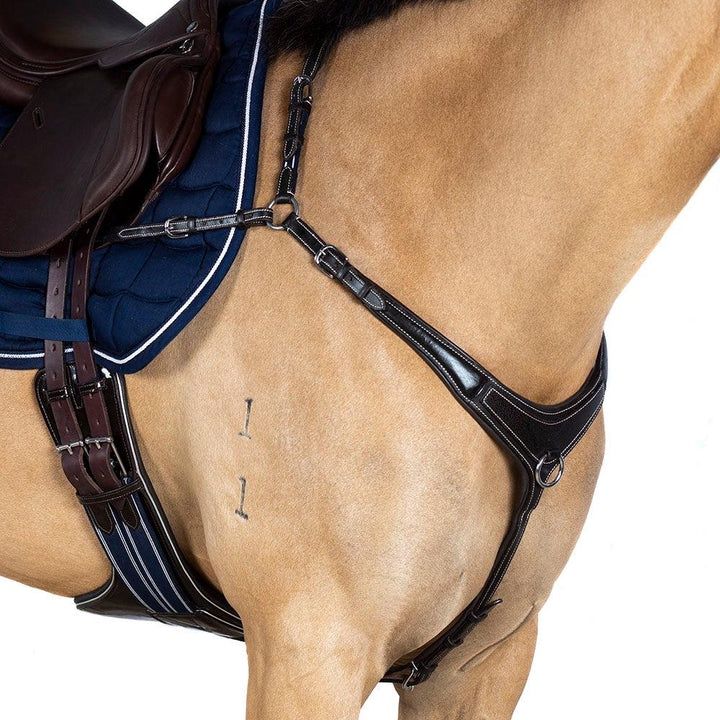 AR 3 Point Bridge Breastplate, Colour: Black, Size: Pony