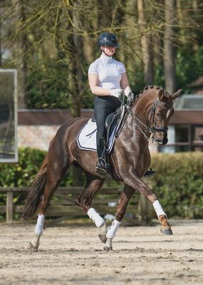 LuxAir Mesh Tendon Boots White