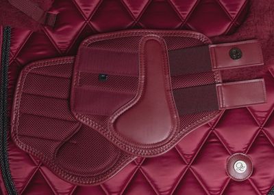 LuxAir Ruby Red Mesh Tendon Boots
