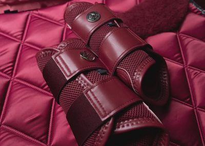 LuxAir Ruby Red Mesh Tendon Boots