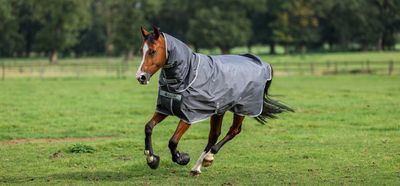 Bucas Smartex Turnout Grey Neck