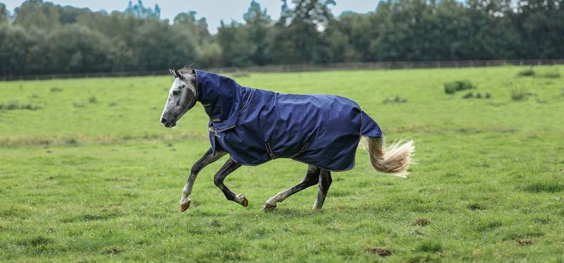 Bucas Irish Turnout Navy 50g