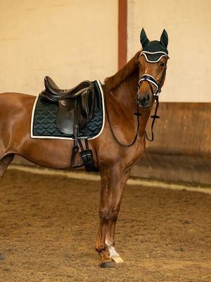 Dressage Saddle Pad Heart Mystic Forest