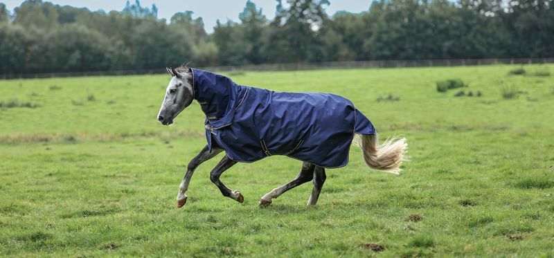 Bucas Rug Irish T/O Neck Navy 0g