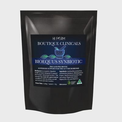 BioEquus Synbiotic