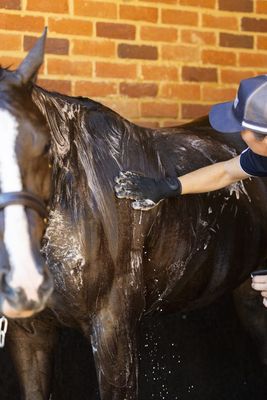 Eziwash Jazz Hands Wash &amp; Groom Gloves