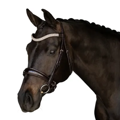 Premium Havana Snaffle Bridle 'Titan'