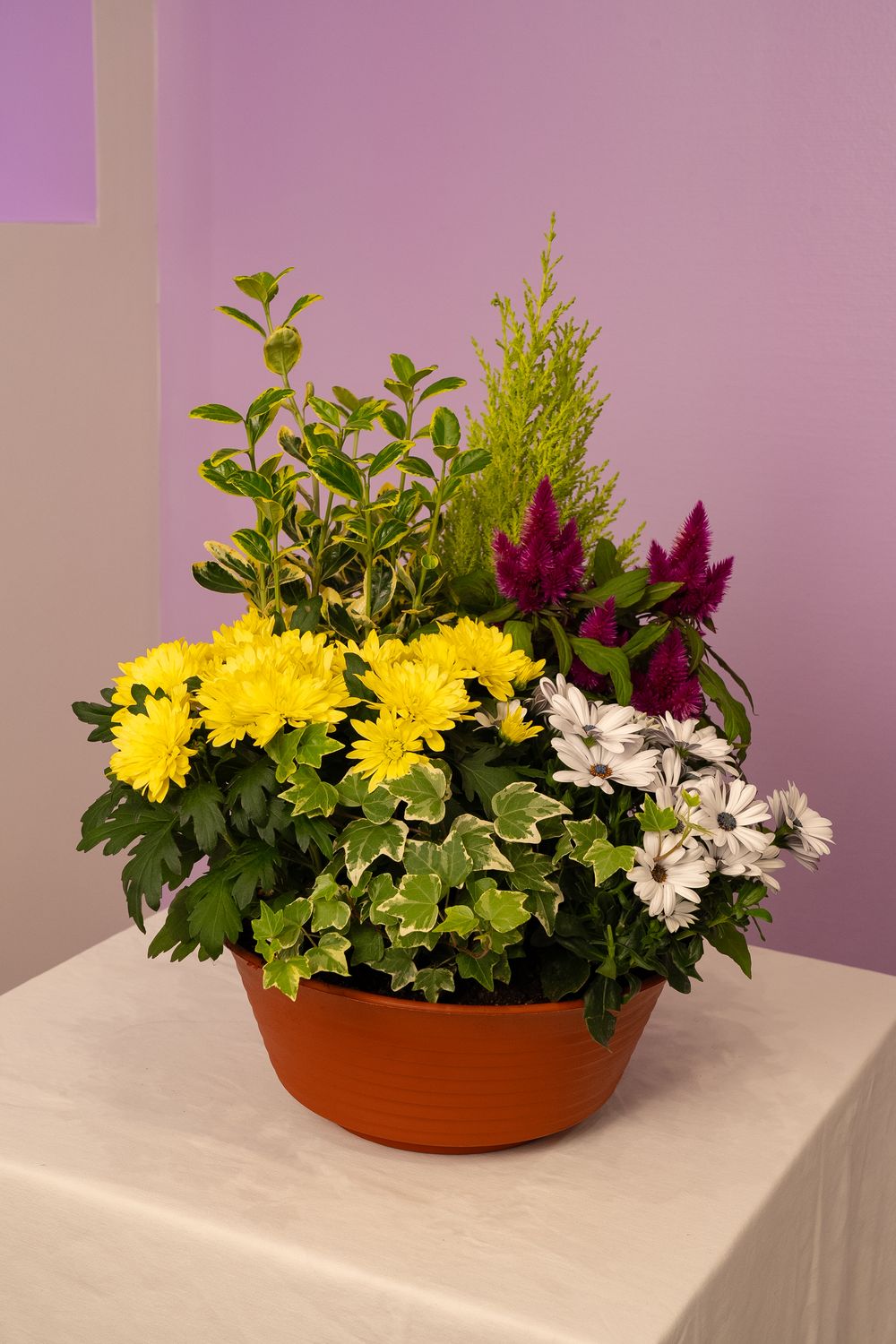 Coupe de plantes fleuries