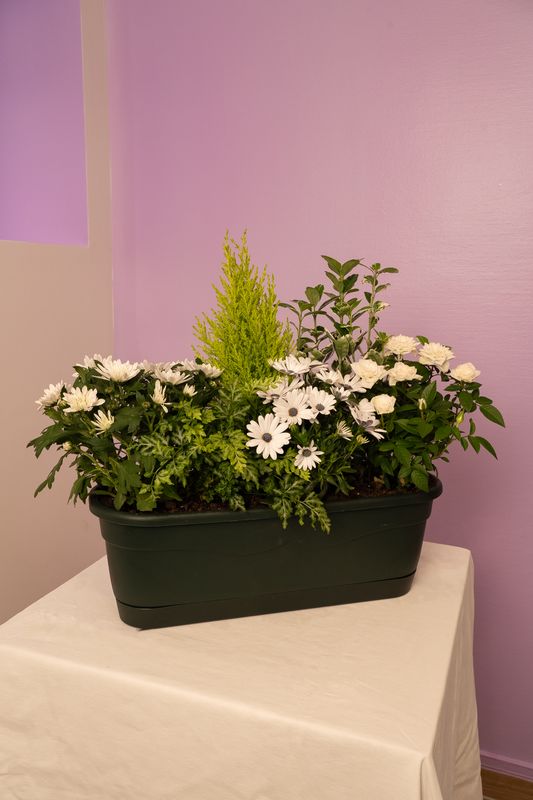 Jardinière de deuil blanche