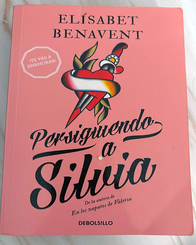 Persiguiendo A Silvia - Elísabet Benavent