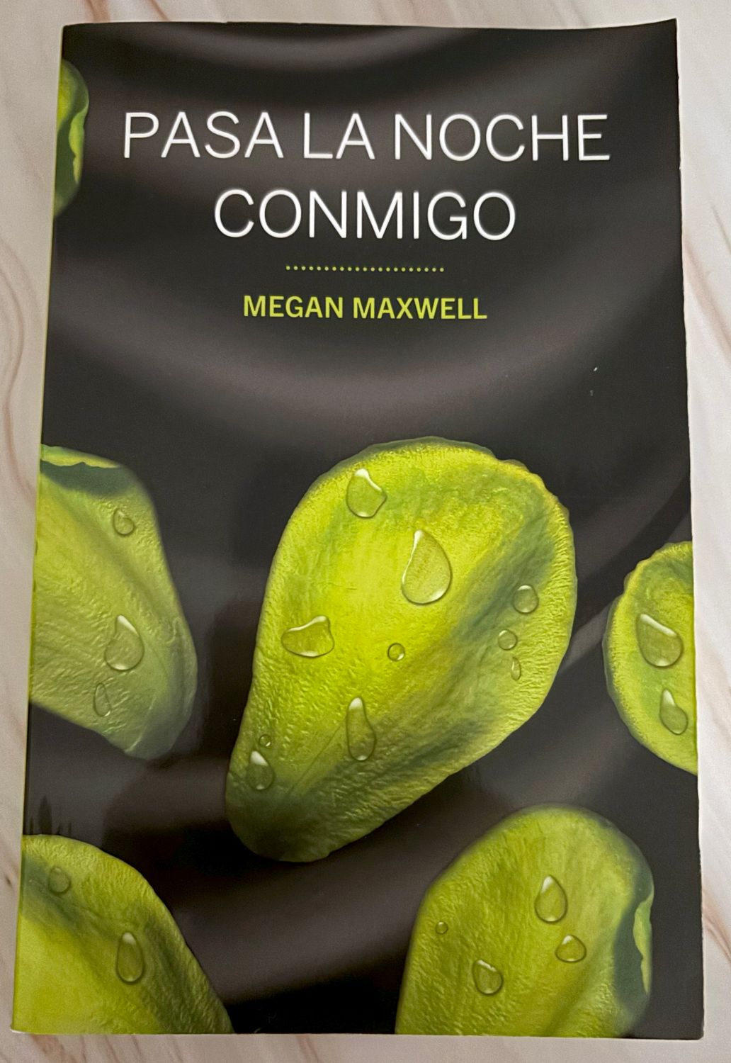 Pasa la Noche Conmigo - Megan Maxwell
