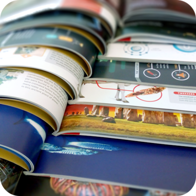 PRINT SUBSCRIPTION