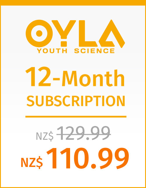 12-month PRINT Subscription