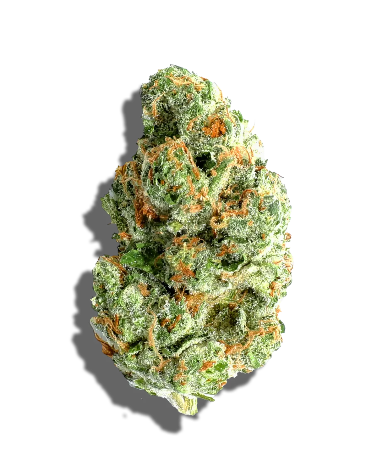 Triple Chocolate Chip