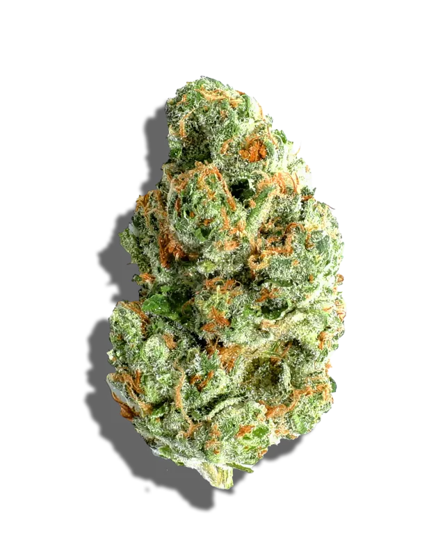 Triple Chocolate Chip