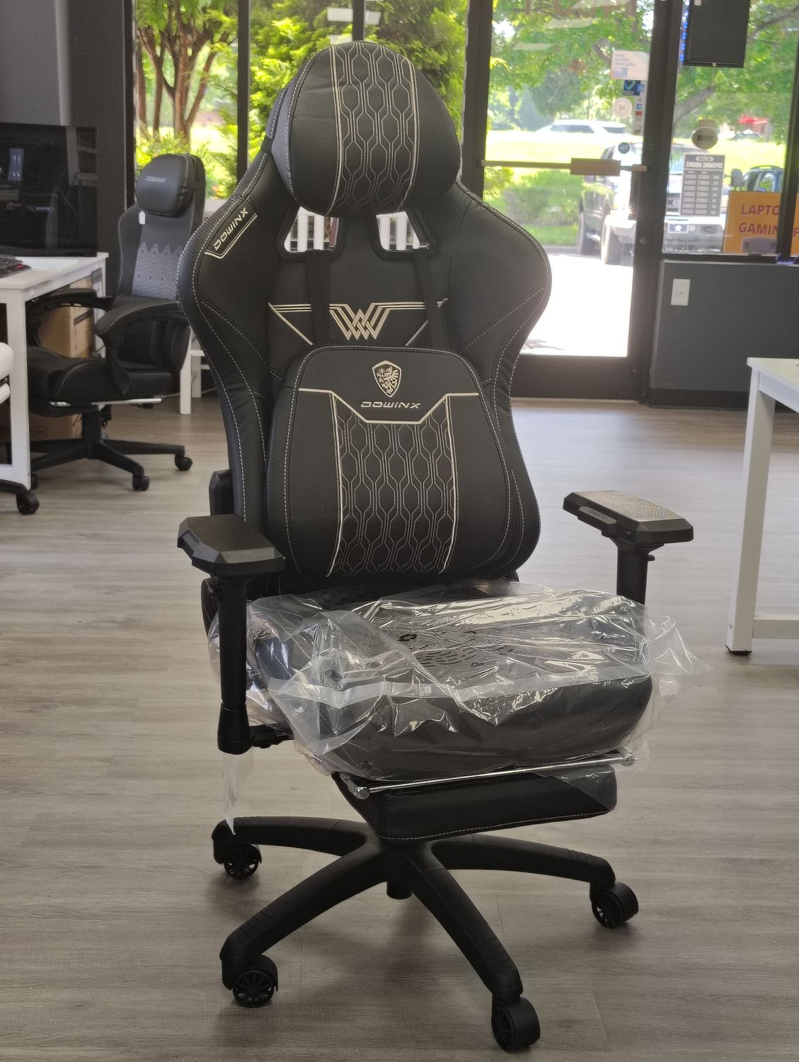Dowinx Premium Gaming Chair