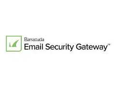 Barracuda Email Security Gateway 300Vx Virtual Appliance - subscription license - 1 license