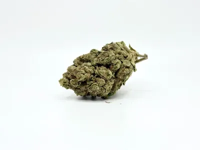 THCA - Top Shelf Flower - Rainbow Sherbert.1179