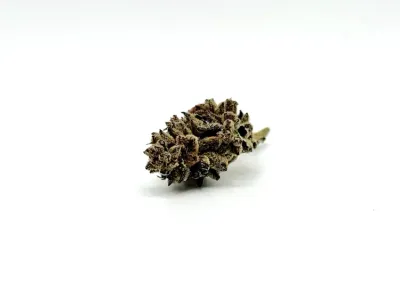 THCA - Mid Flower - Venom OG