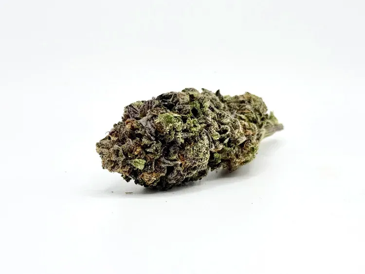 THCA - Top Shelf Flower - Sunset Sherbet