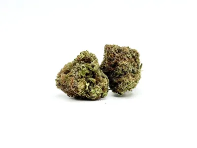 THCA - Top Shelf Flower - Junglato