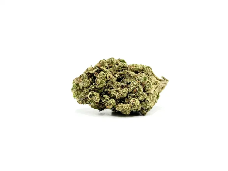 THCA - Mid Flower - GMO Cookies