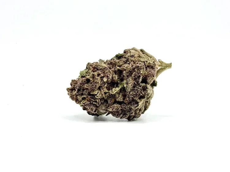 THCA - Mid Flower - Tropicana Cookies