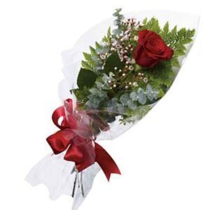 Single Red Roses — Suncoast Flowers in Birtinya, QLD