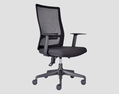 Neptune Ease Ergonomic Chair for Adults