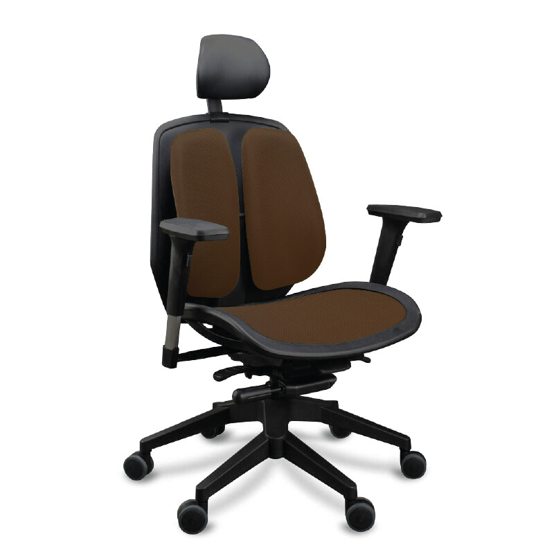 Duorest Alpha Ergonomic Chair for Adults