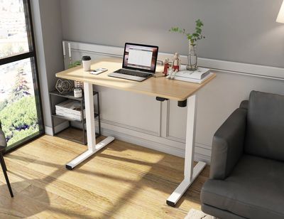 ERGOMATE Motorized Height Adjustable Standing Desk Frame