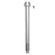 1) DR Stub Axle Bolt 10 x 110