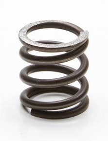 Valve Spring (Intake &amp; Exhaust)+