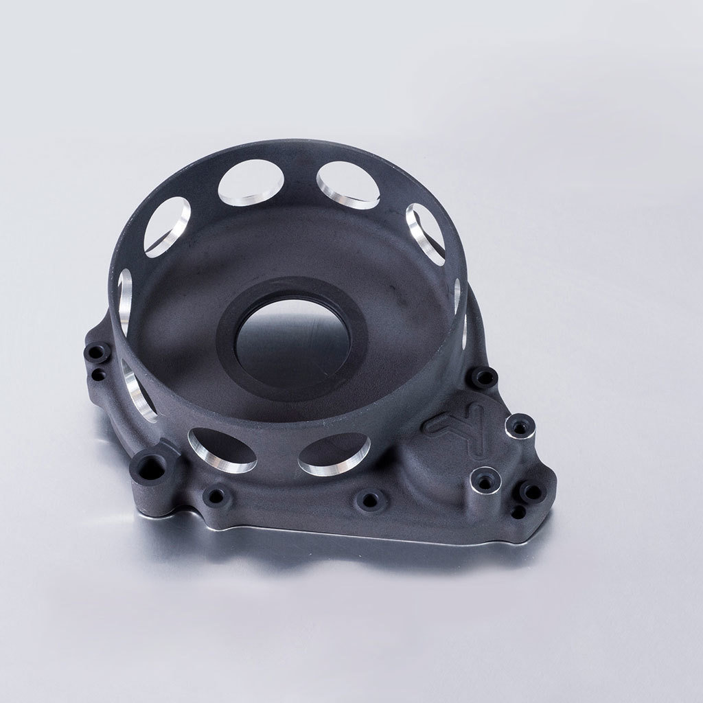 (1) Primary Drive Cover Black