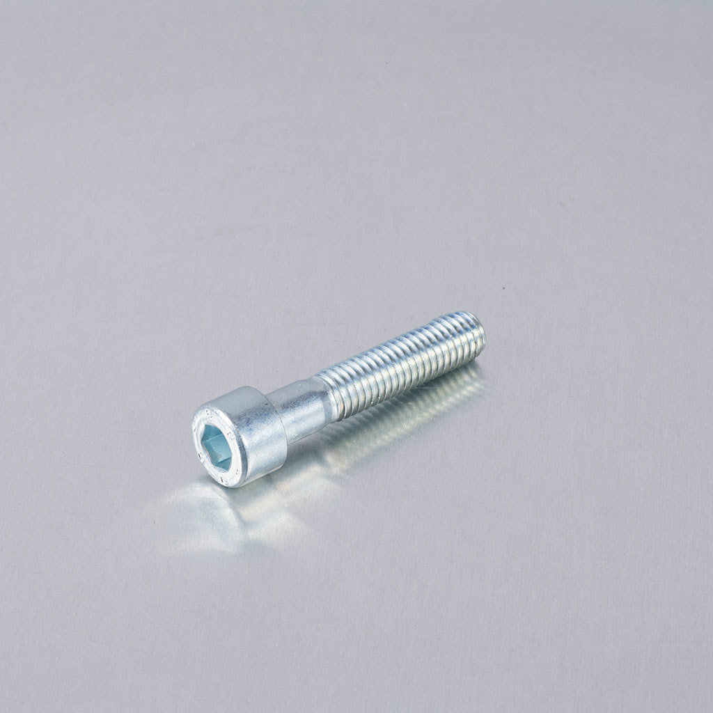 (13) Tbei Screw M8 X40