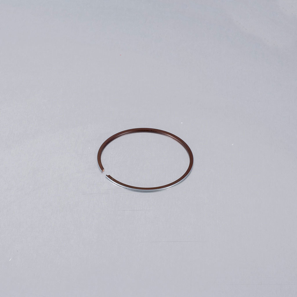 (16) Piston Ring