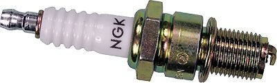 (3)  Spark Plug NGK B10 EG