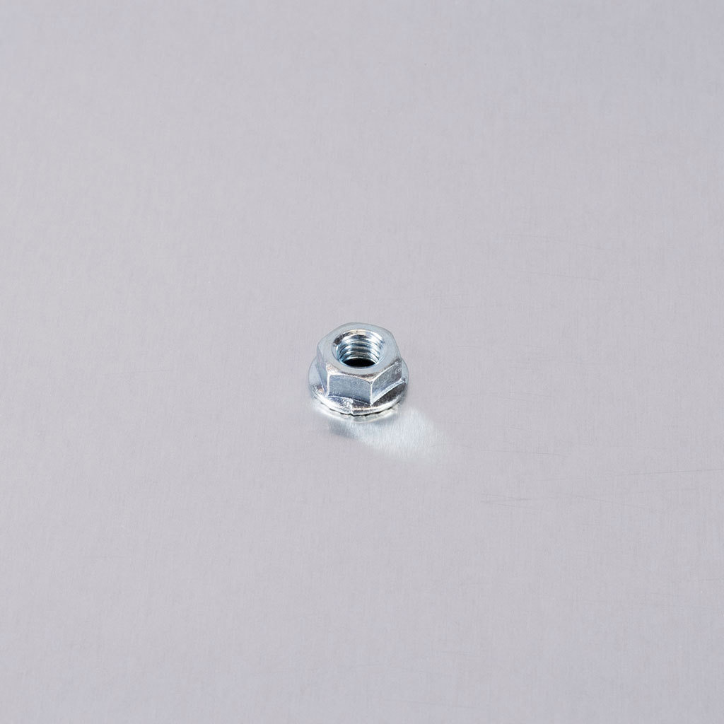 (20) Flange Nut M6