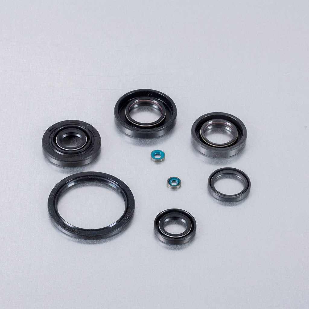 (9) Oil Seal Assembly Kit