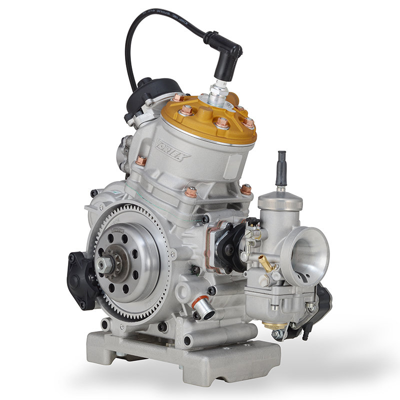 Vortex ROK GP Engine