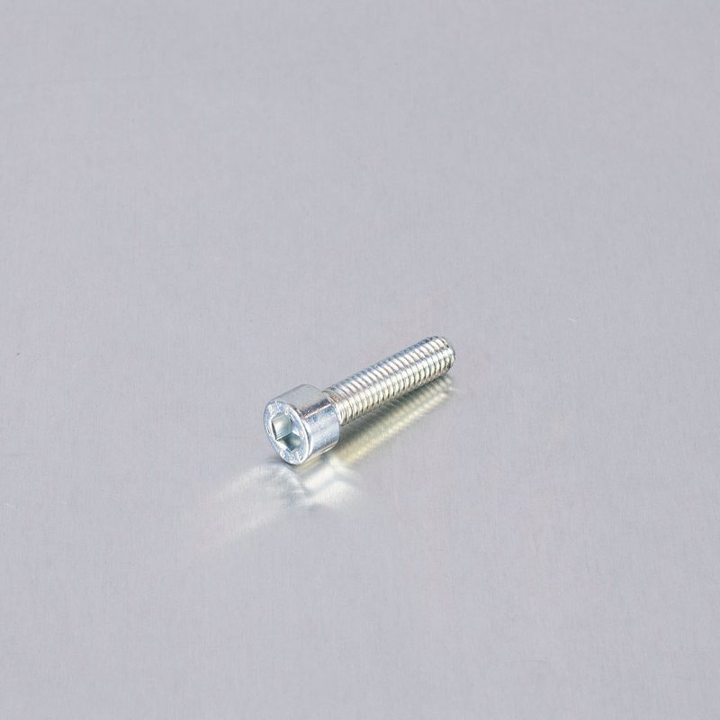 (10) TCEI Screw M6x25