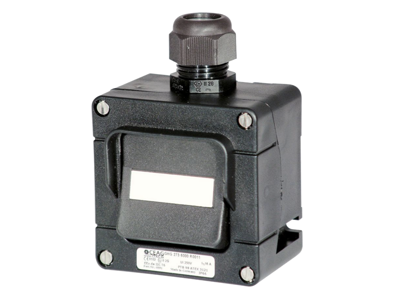 Ex-Installation switch
