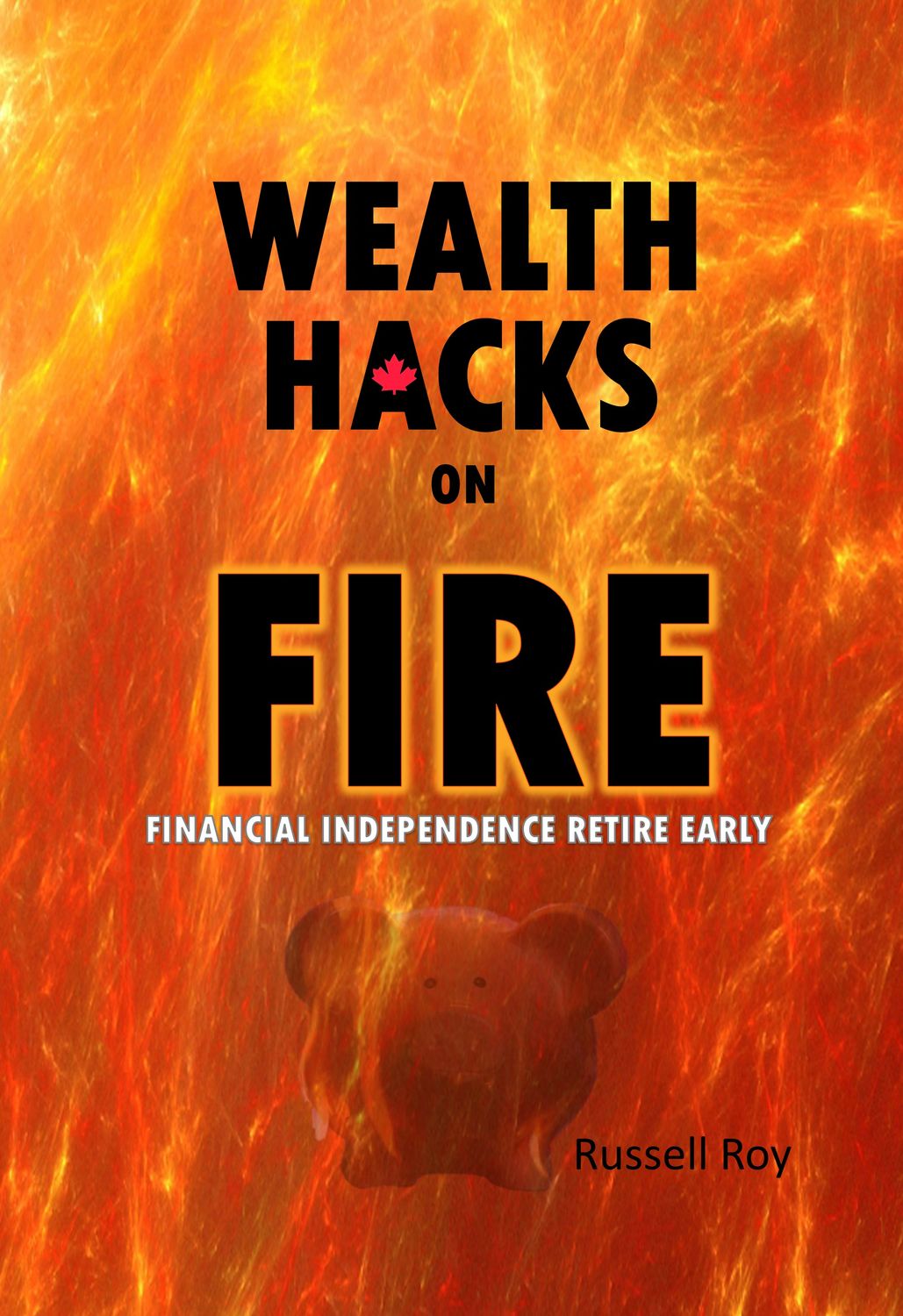 WEALTH HACKS on FIRE - Paperback