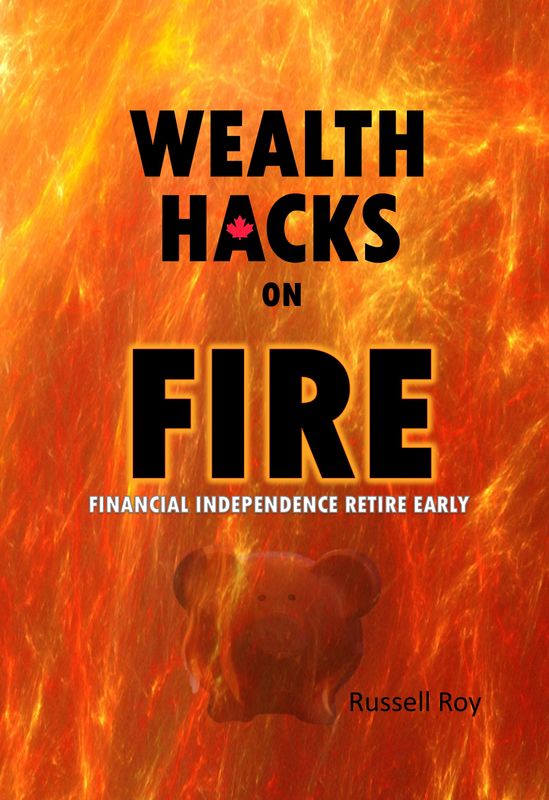 WEALTH HACKS on FIRE - Paperback